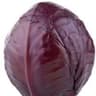 Cabbage: Red