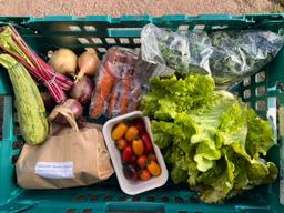 Image of Small Chemical Free Veg Box