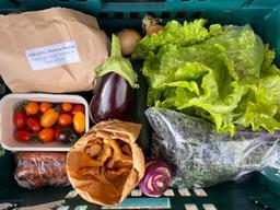 Image of Medium Chemical Free Veg Box