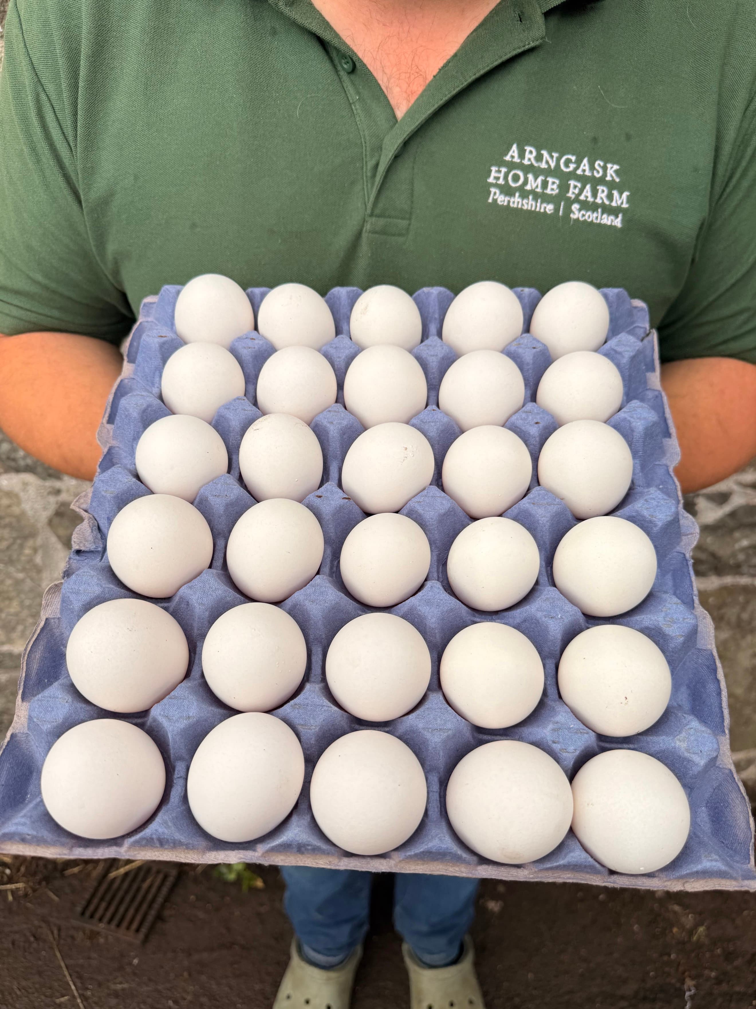 Free Range Pastured Eggs (TRAY - 30)