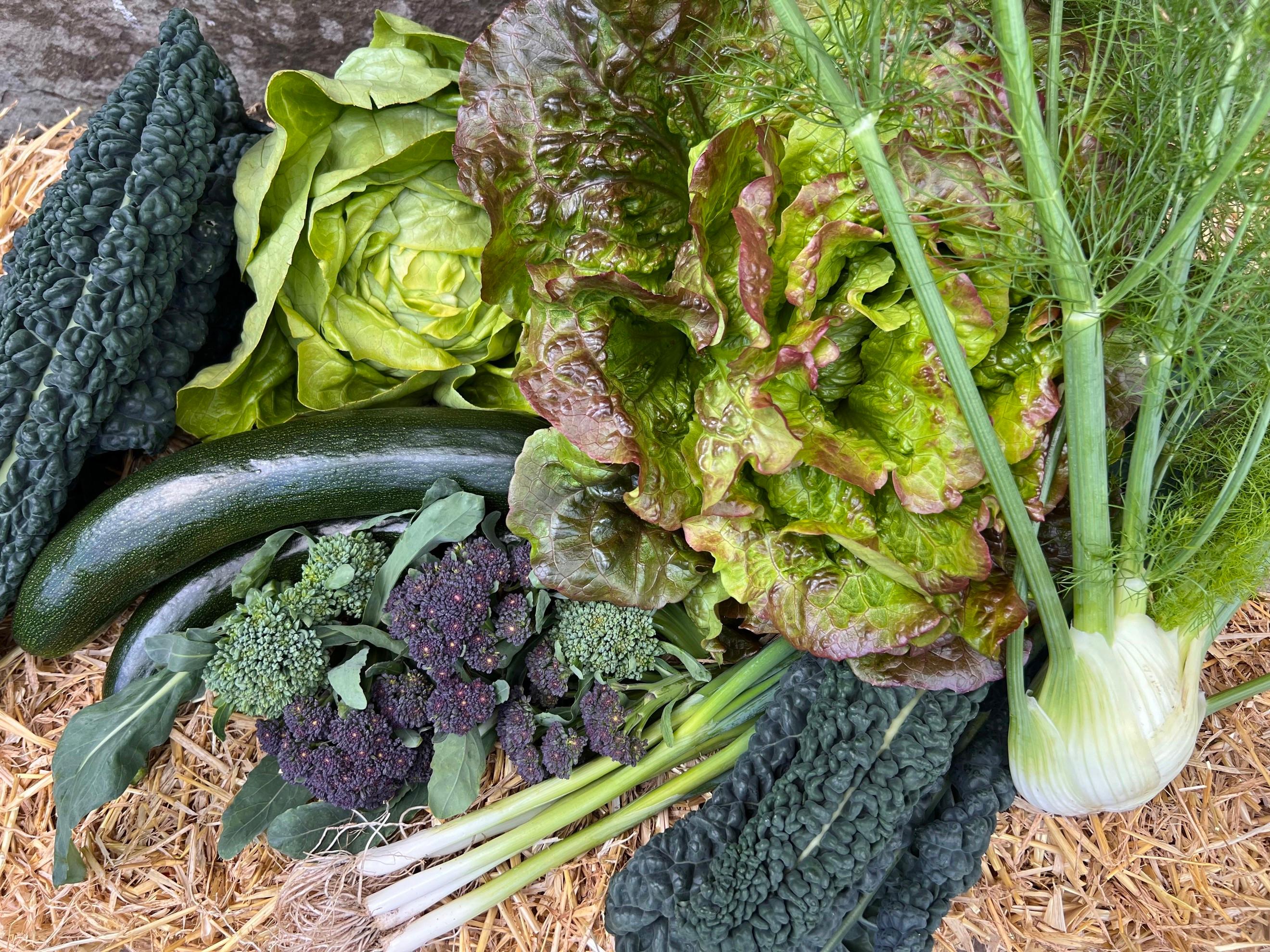 Chemical Free Veg Box