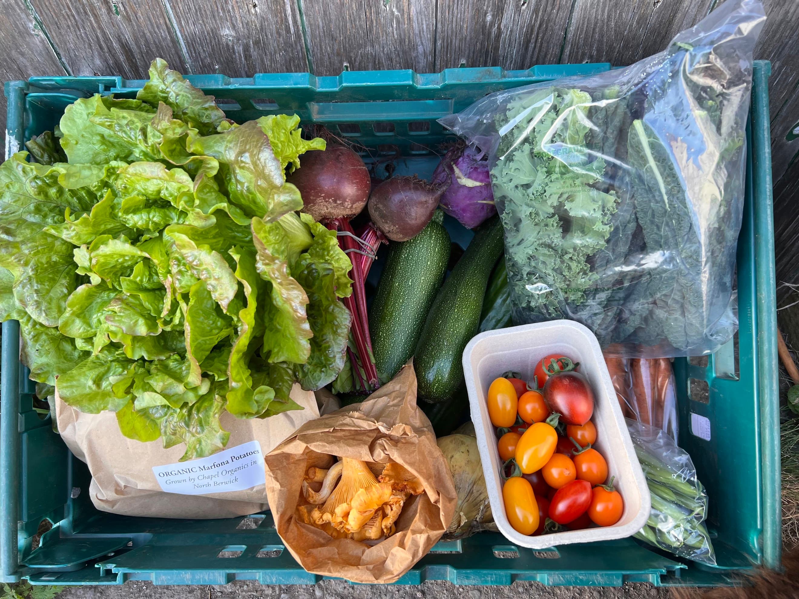 Chemical Free Veg Box